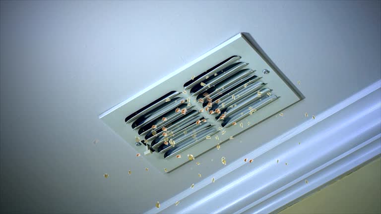 Best Emergency Air Duct Cleaning  in Locust Fork, AL