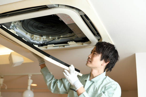 Best Dryer Vent Cleaning Services  in Locust Fork, AL