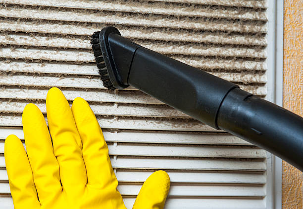 Best Air Duct Mold Removal  in Locust Fork, AL