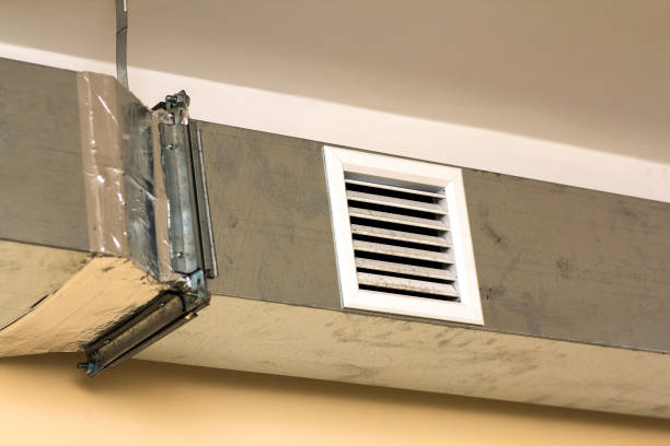 Best Professional Duct Cleaning Services  in Locust Fork, AL
